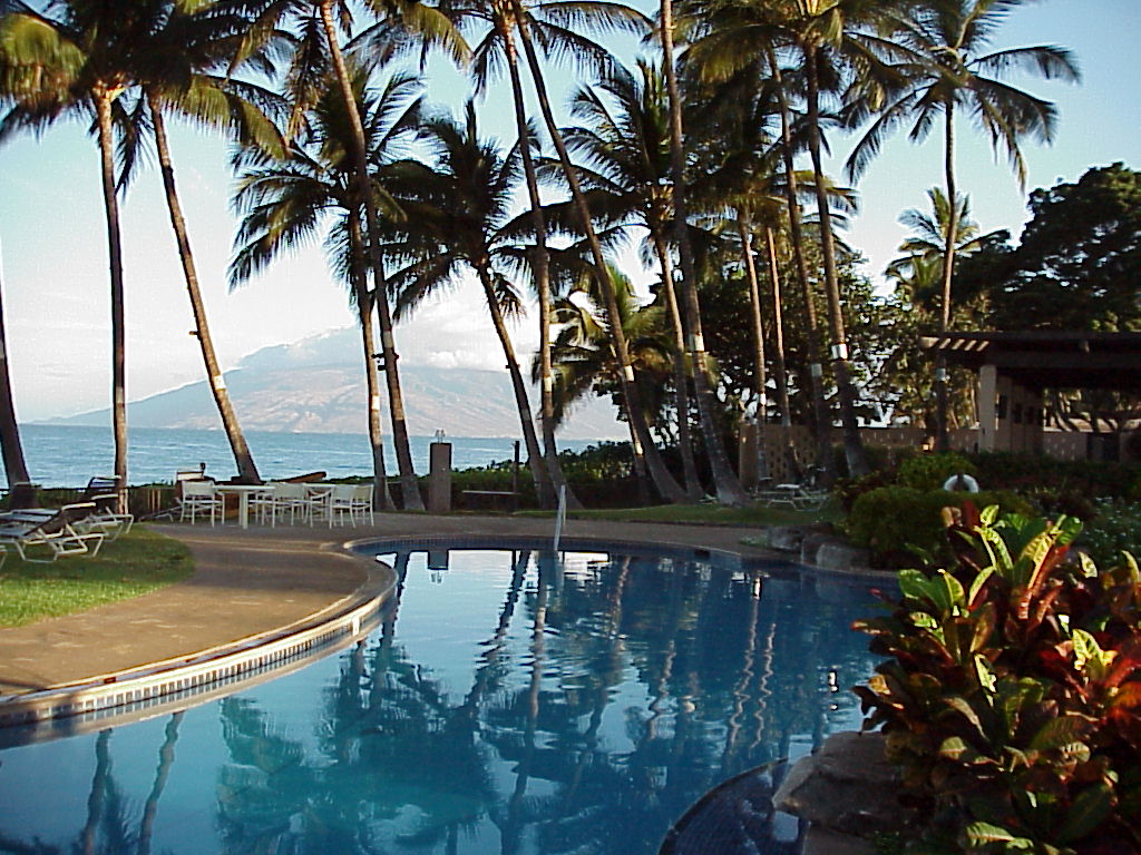 large pool